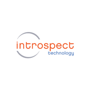 Introspect Technology